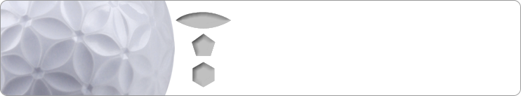 通過橢圓形，六角形，五角形的獨特組合我公司特有的蜂洞形狀。